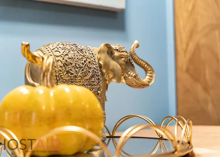 V68 Design - Hostaid *